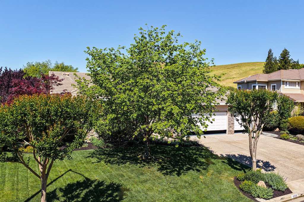 Timberleaf-Ct-Drone_03