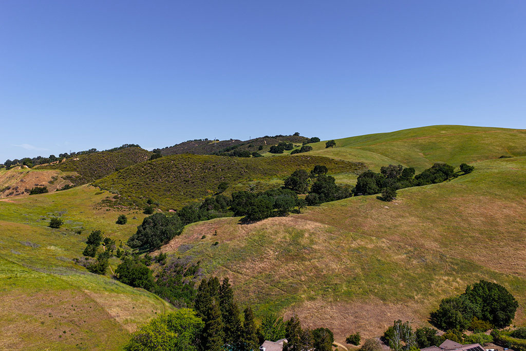 Timberleaf-Ct-Drone_11